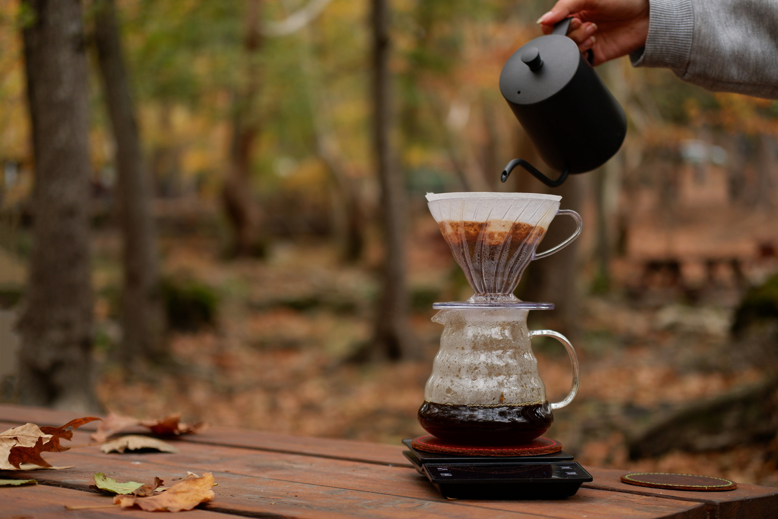 Coffee Driper